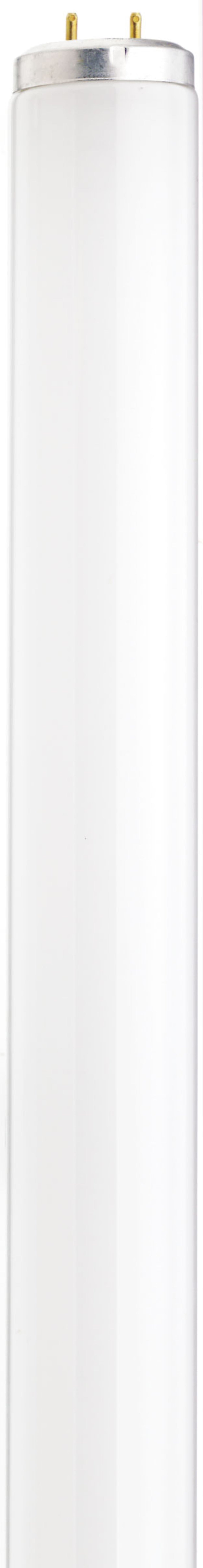 Satco S6579 20 Watt T12 Shatter Proof Fluorescent 4100K Cool White 62 CRI Medium Bi Pin base