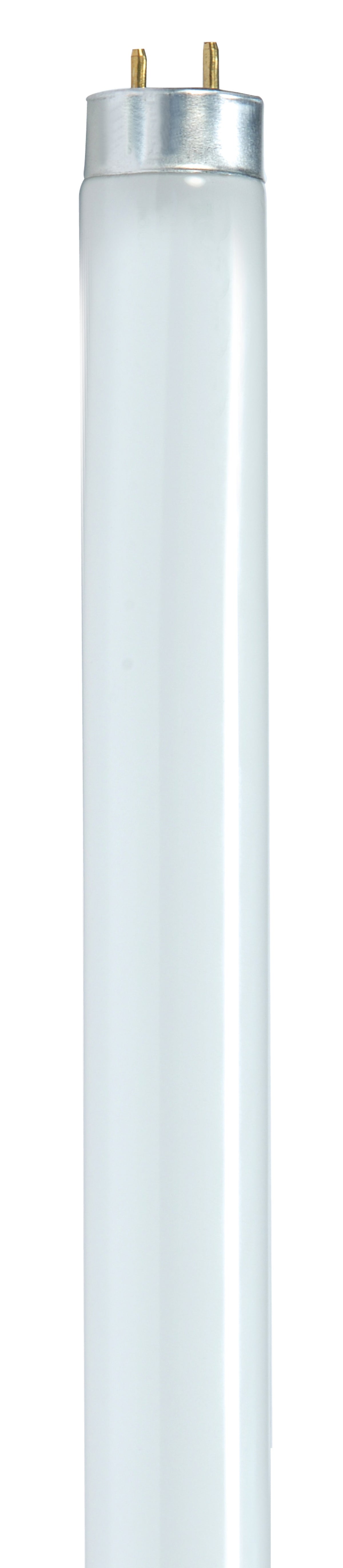 Satco S8424 28 Watt T8 Fluorescent 4100K Cool White 85 CRI Medium Bi Pin base - CASE PACK 30