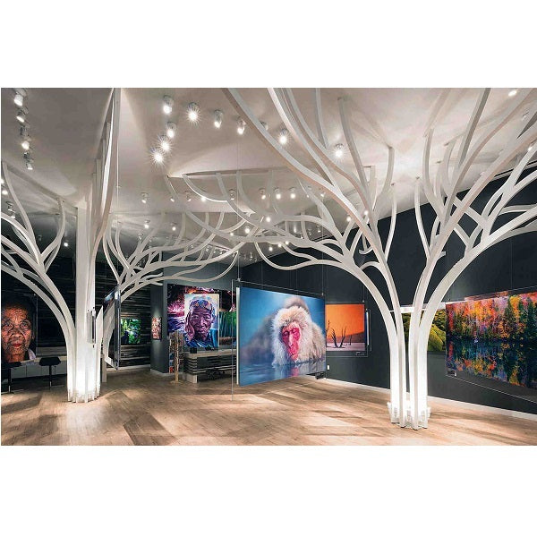 Architectural tree canopy lighting using Soraa SNAP 4 inch circular beam spreader 60 degree lens