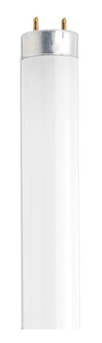 Satco S26515 18 Watt T8 28 Inch Cool White Fluorescent - CASE PACK 30