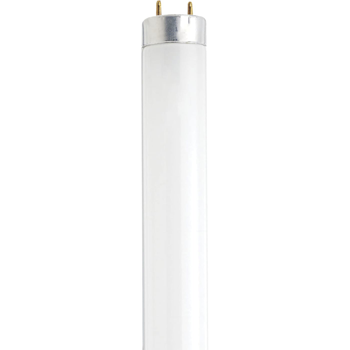 Satco S7920 13 Watt  12 Inch Fluorescent T8  4100K  Cool White  Medium Bi Pin base