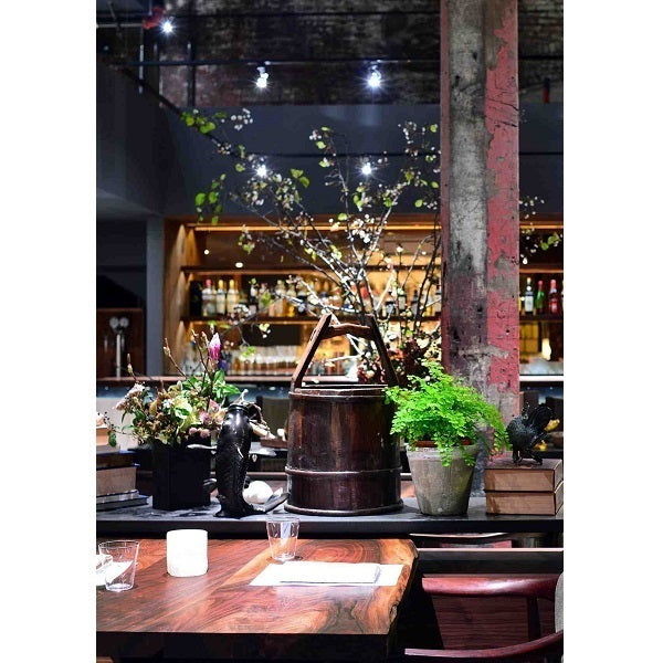 Restaurant bar lighting using Soraa BRILLIANT PAR30 Short Neck 25 degree 3000K LED lamps