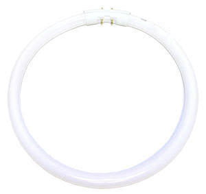 Satco S8156 FC22T5/835 22W Fluorescent w/ 2GX13 Base - Neutral White