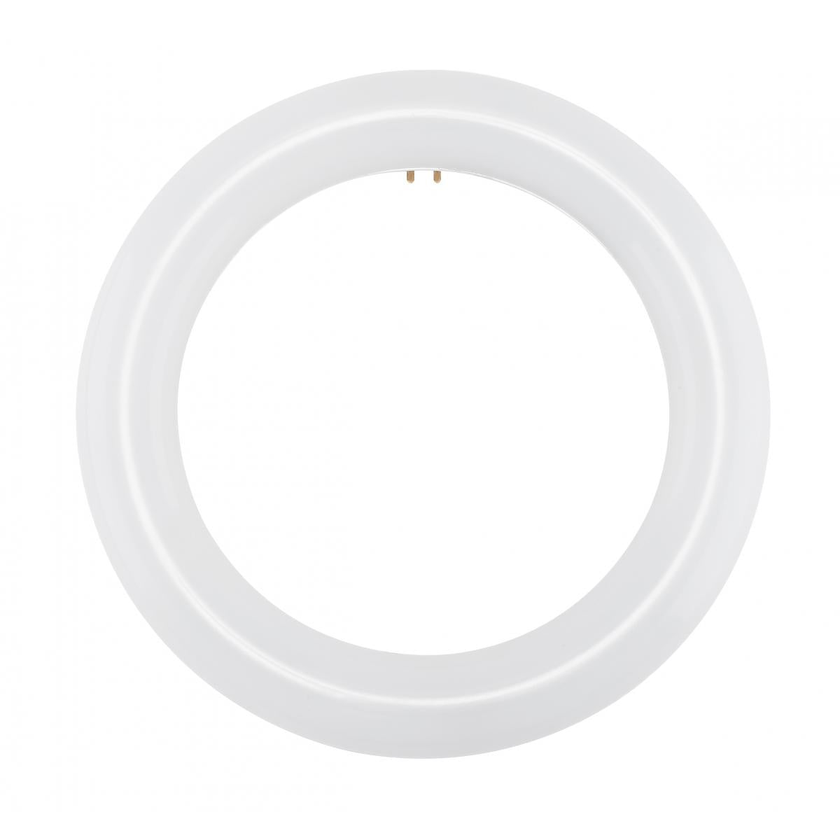 Replacement for Satco S16501 LED Circline 11 Watt T9 4000K G10Q Base 120-277 Volt Type B Ballast Bypass - NOW S16510