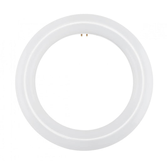 Replacement for Satco S16502 LED Circline 11 Watt T9 6500K G10Q Base 120-277 Volt Type B Ballast Bypass -NOW S16510