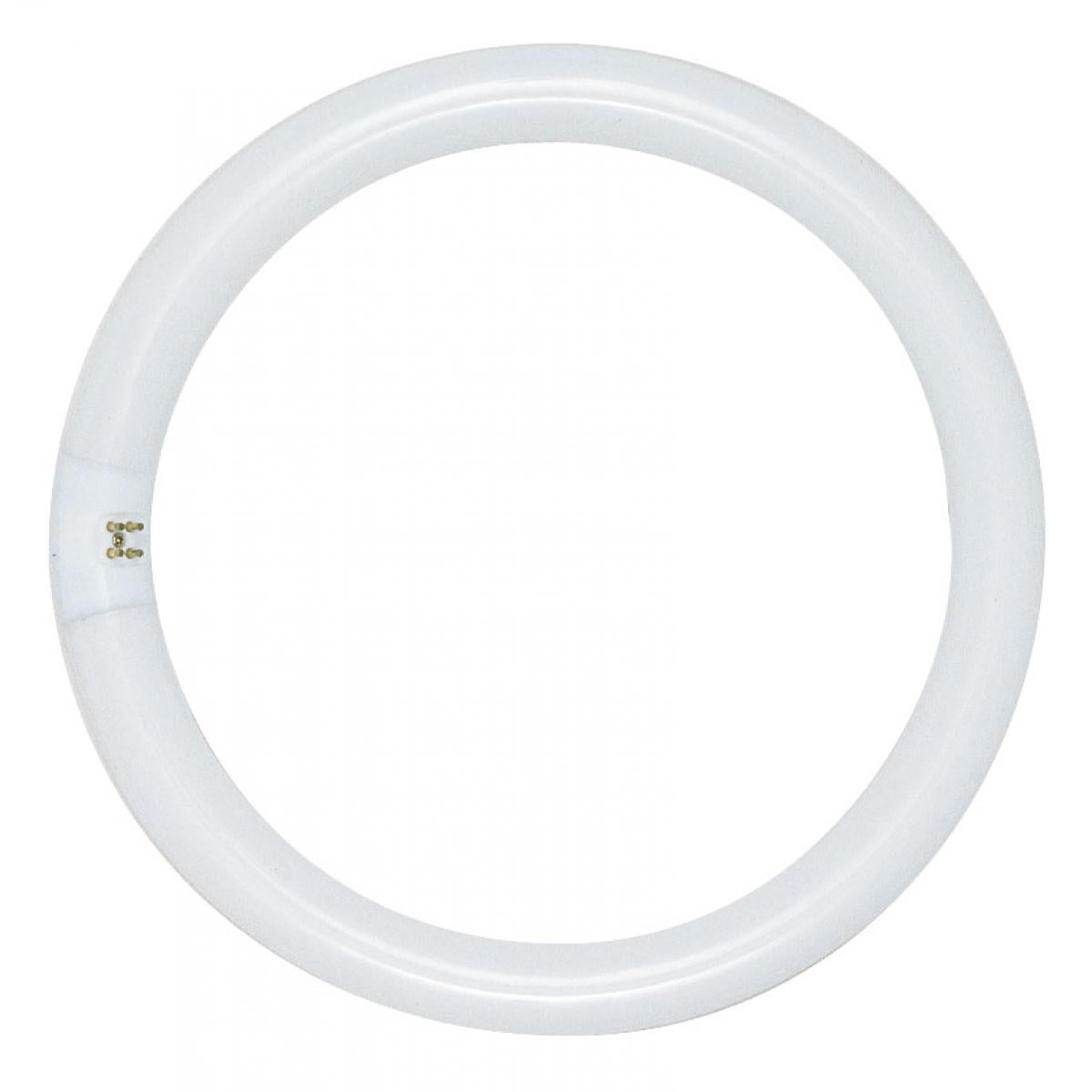 Satco S6501 FC8T9/D 22 Watt T9 Circline Fluorescent 6500K Daylight 76 CRI 4-Pin base