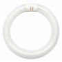 Bulbrite 502108 - FC8T9CW 8-Watt Fluorescent Circline T9