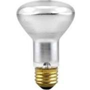 Satco 7002 Bulb Pool 100W R20 12V