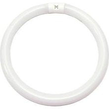 EIKO 15606 FC12T9 / CW - 32 Watt - T9 Circline Fluorescent 4 Pin  